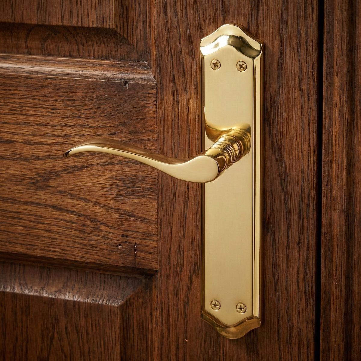 Türklinke Modell '881' mit ovalem Aluminiumschild in satiniertem Gold für Türen