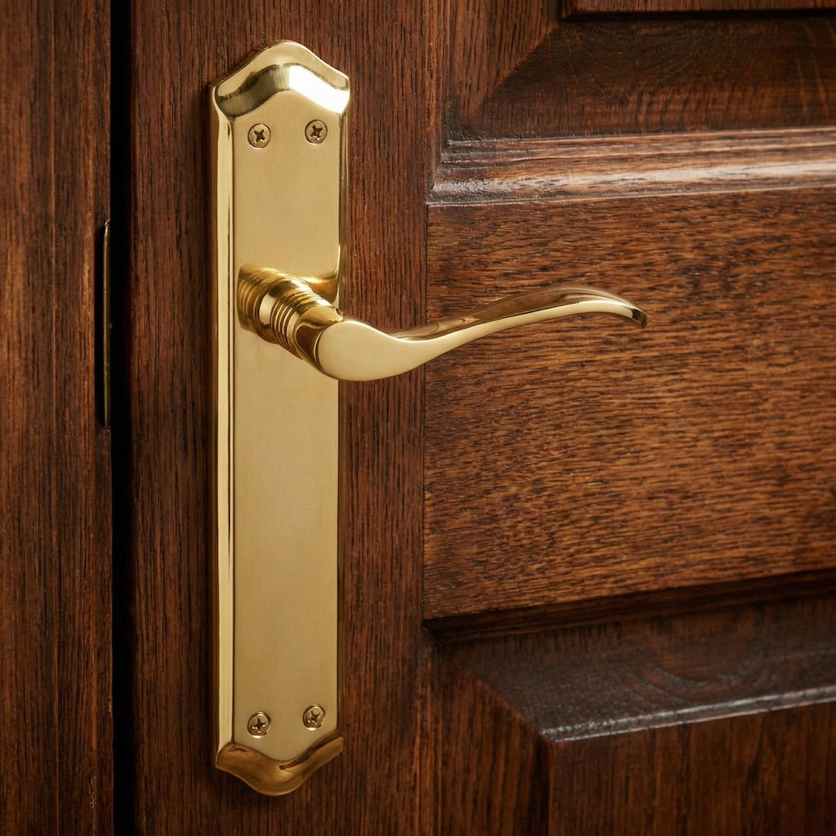 Türklinke Modell '881' mit ovalem Aluminiumschild in satiniertem Gold für Türen