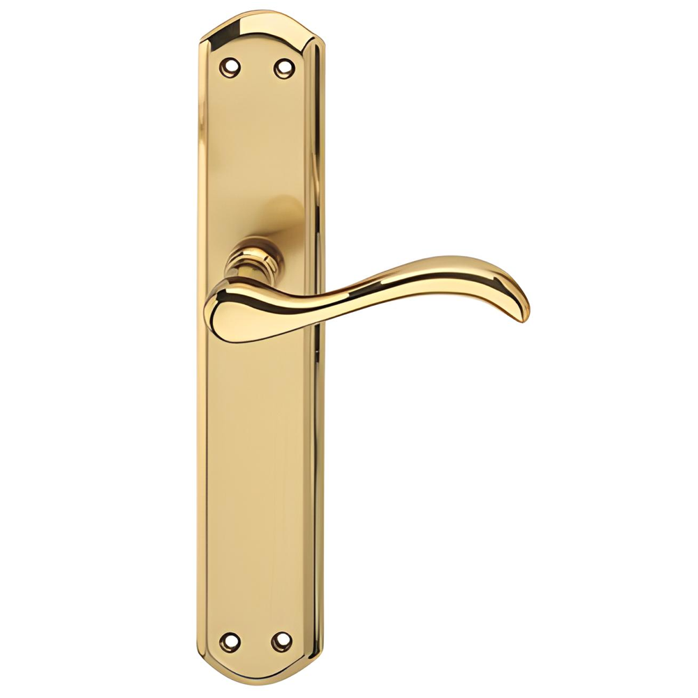 Türklinke Modell '5001' mit ovalem Langschild in poliertem satiniertem Gold für Türen