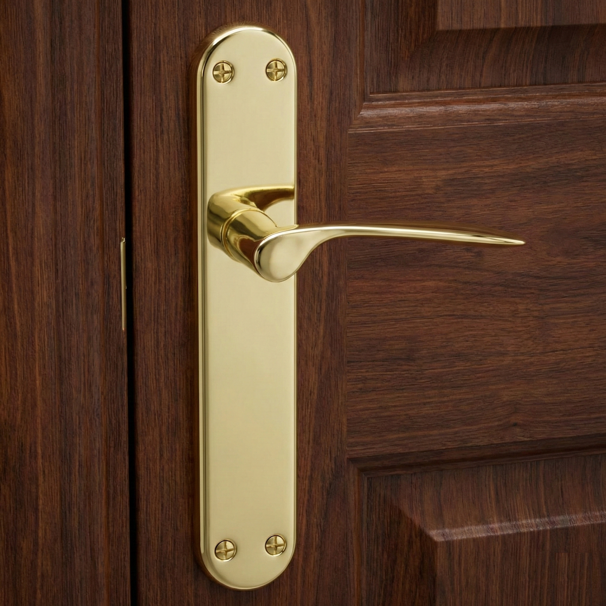 Türklinke mit ovaler Messingplatte in Gold-Finish Modell Pep für Türen