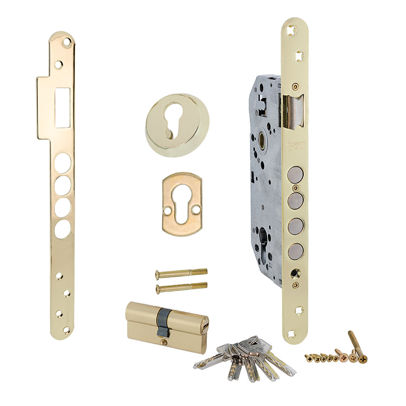 Sicherheitsschloss 50mm mit abgerundeter Stulp und 4 Stahlriegeln, glänzend goldfarben