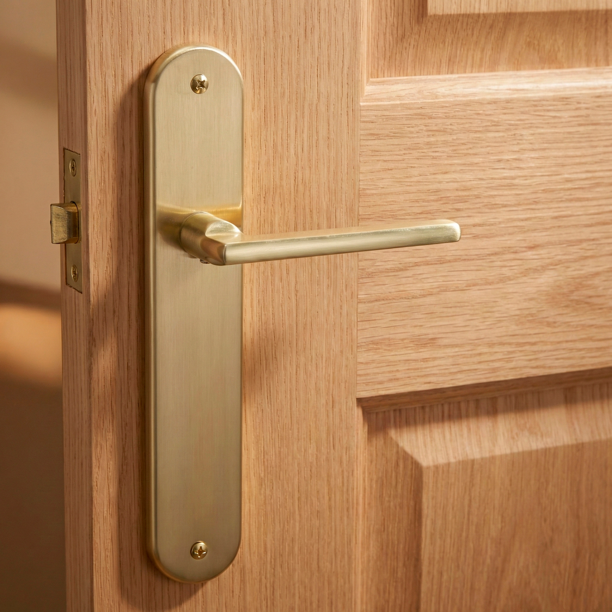Türklinke auf ovalem Langschild Rental aus satiniertem Goldaluminium