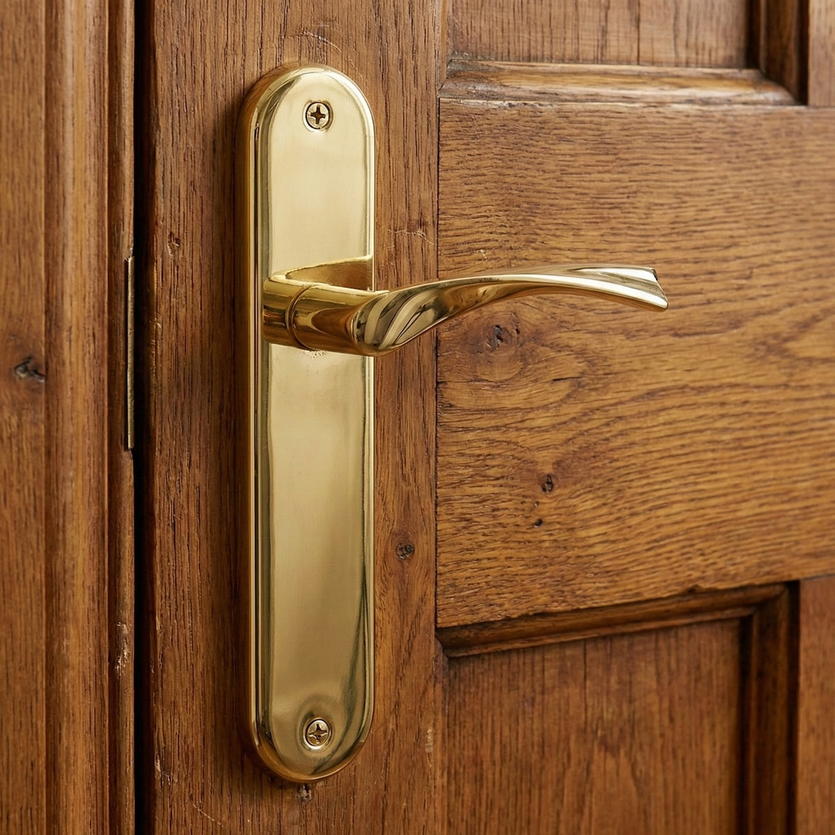 Türklinke Modell '130' aus Zamak mit ovalem Schild in glänzendem Gold-Finish für Türen