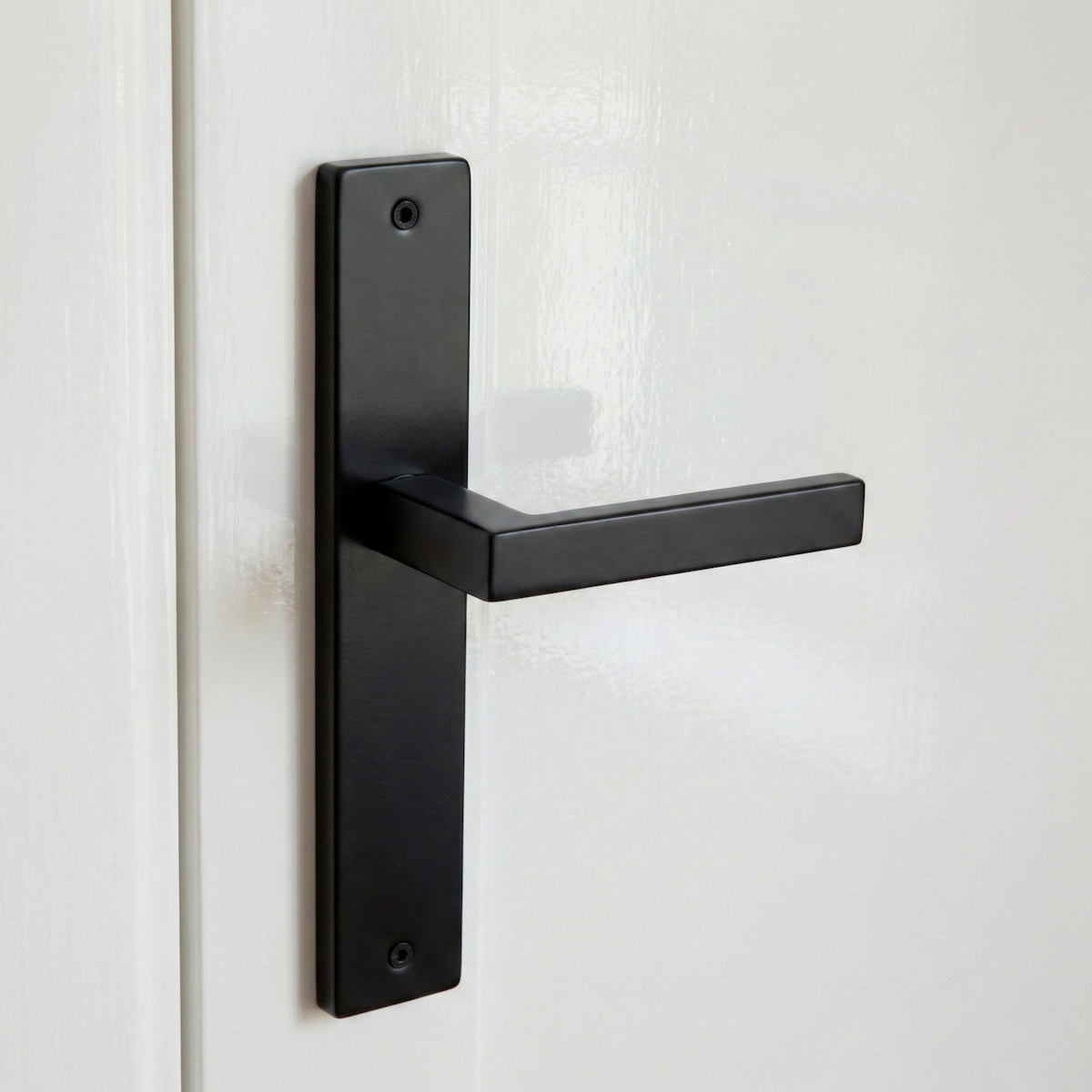 Türklinke mit Langschild Modell 8003 aus Edelstahl in Schwarz