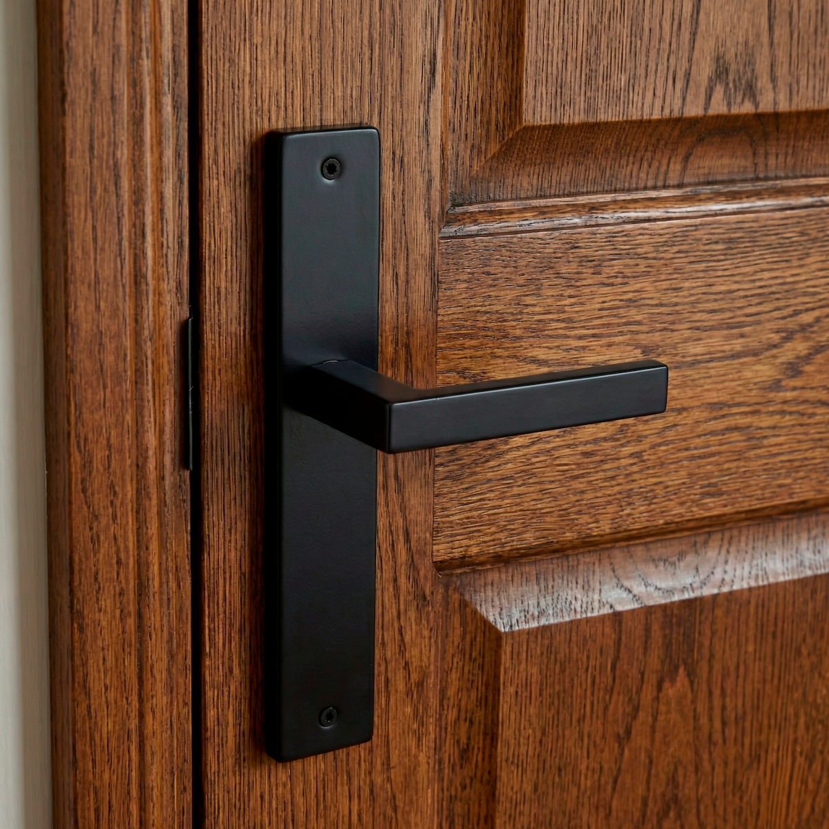 Türklinke mit Langschild Modell 8003 aus Edelstahl in Schwarz