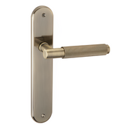 Türklinke mit ovalem Langschild 250x48 mm aus Zamak in Lederoptik für Türen