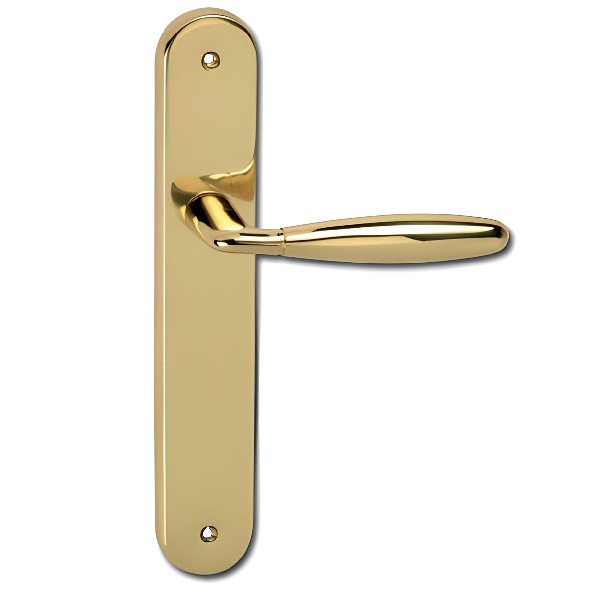 Türklinke aus Messing in glänzendem Gold-Finish mit ovalem Schild für Türen, Modell '151'