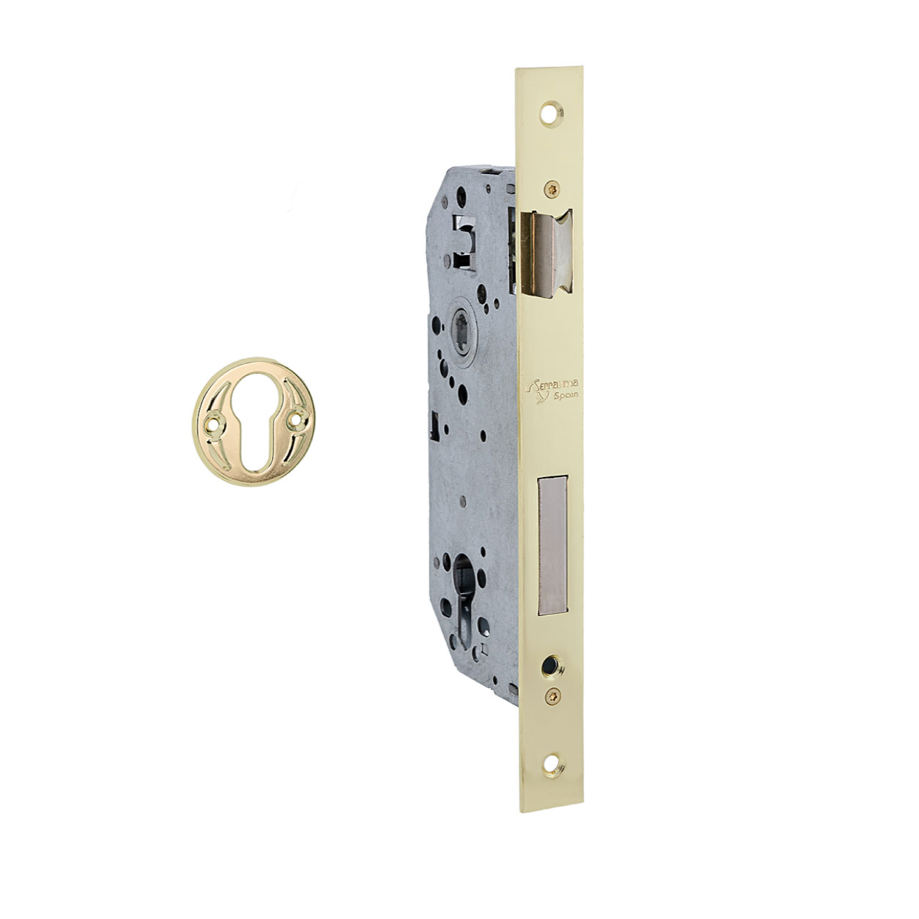 Einsteckschloss 50mm für Profilzylinder mit gerader Stulp und 85mm Dornmaß in glänzendem Gold