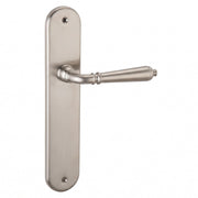 Türklinke mit ovalem Langschild aus satiniertem Aluminium-Nickel 250x48 mm